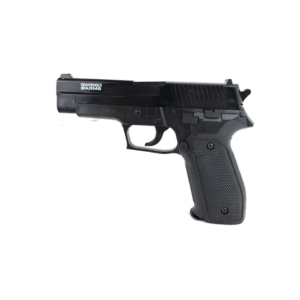 Replika Sig Sauer 280002 P226 power