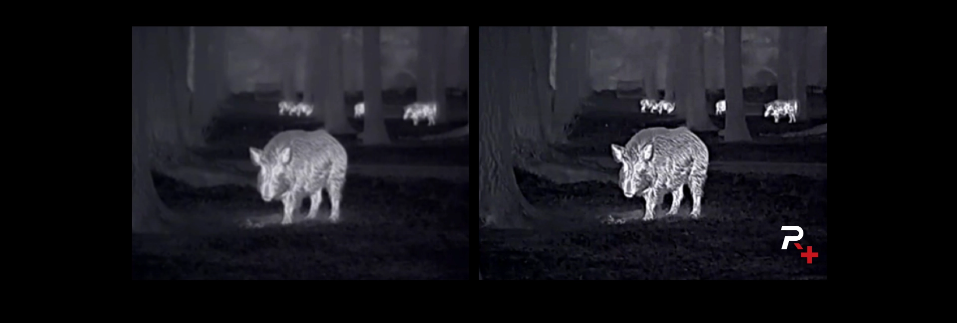 Reality-Image-Improvement-Algorithms