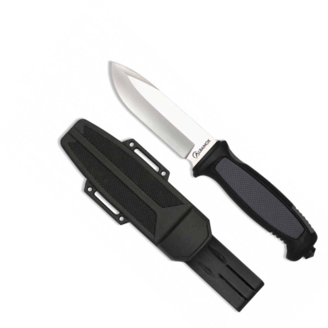 Features of - 2025-06-19T091318.946