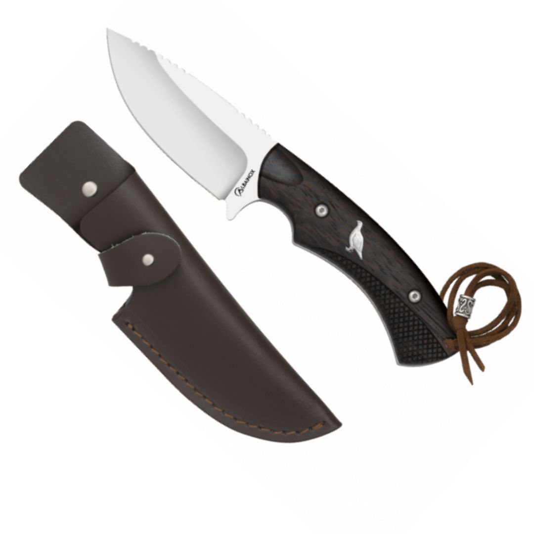 Features of - 2025-06-19T140118.542